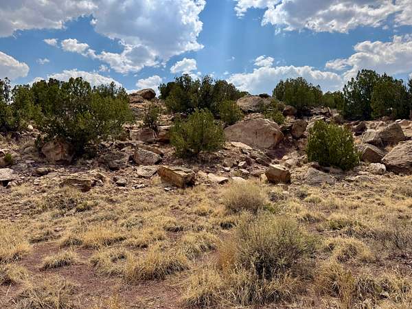400 Acres of Recreational Land with Home for Sale in Quemado, New Mexico