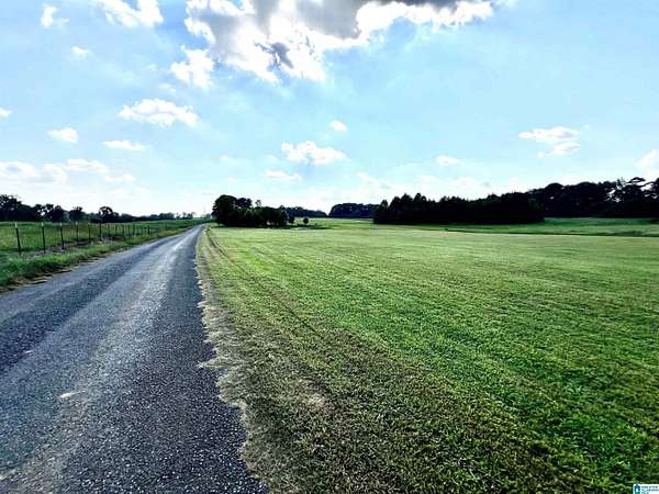 20 Acres of Land for Sale in Baileyton, Alabama