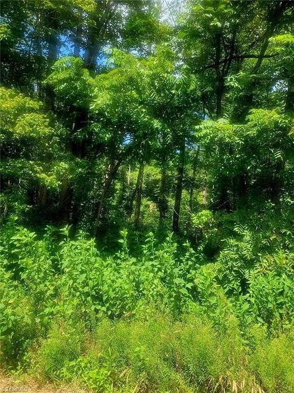 3.18 Acres of Residential Land for Sale in Danbury, North Carolina