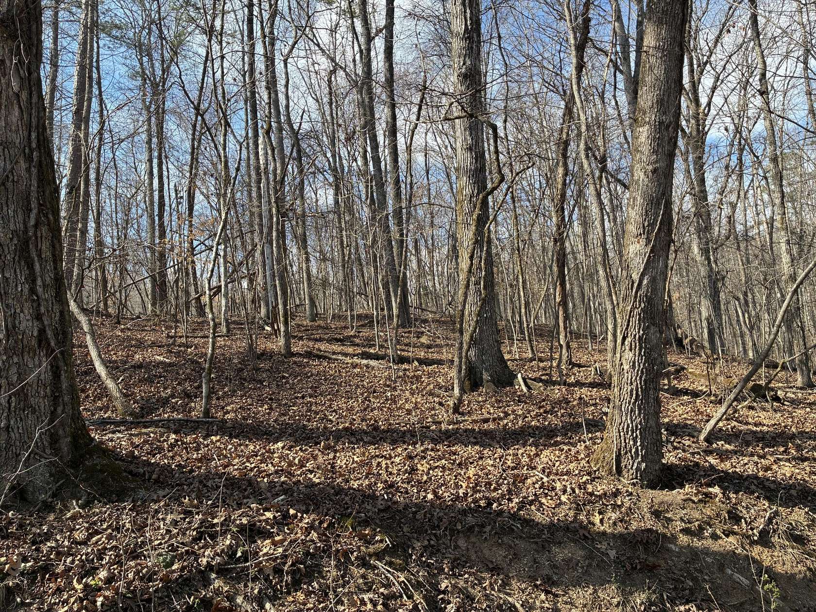 0.6 Acres of Residential Land for Sale in Rockwood, Tennessee