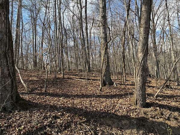 0.6 Acres of Residential Land for Sale in Rockwood, Tennessee