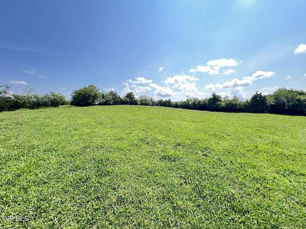 3 Acres of Residential Land for Sale in Whitesburg, Tennessee