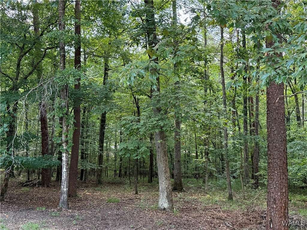 3.58 Acres of Residential Land for Sale in McCalla, Alabama
