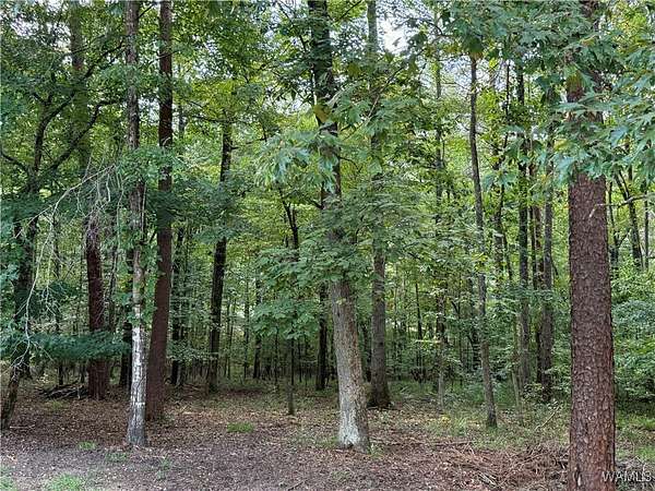 3.58 Acres of Residential Land for Sale in McCalla, Alabama