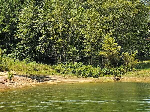 1.4 Acres of Residential Land for Sale in Jasper, Alabama