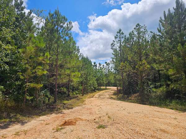 13 Acres of Land for Sale in Thomasville, Alabama