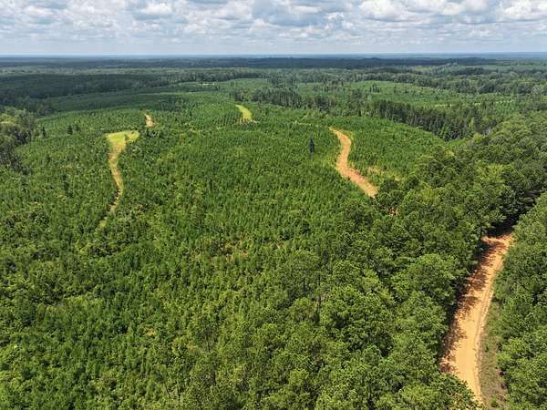 180 Acres of Agricultural Land for Sale in Millport, Alabama
