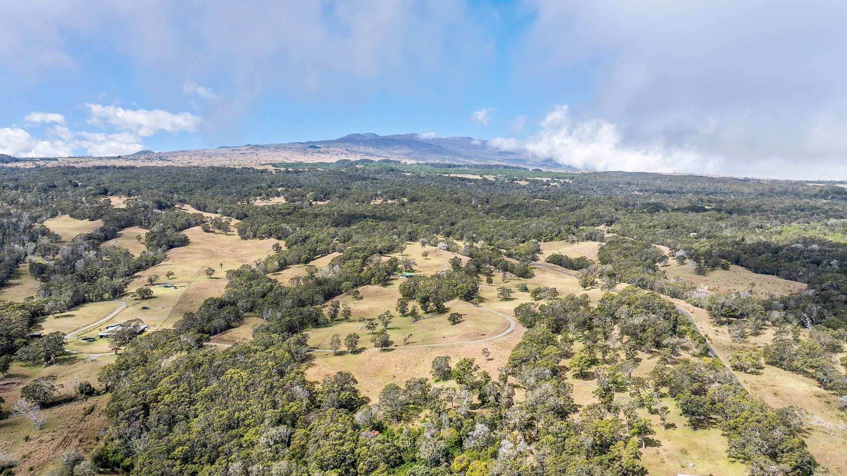 40 Acres of Land with Home for Sale in Paauilo, Hawaii