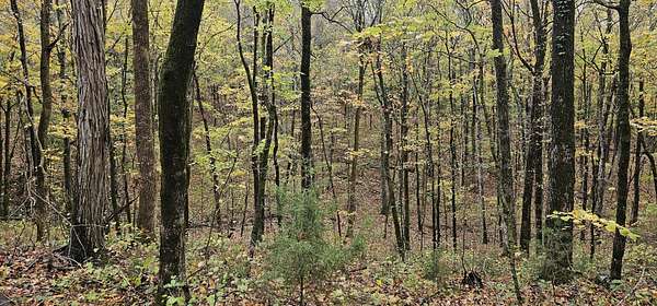 59.4 Acres of Recreational Land for Sale in Morrison, Tennessee