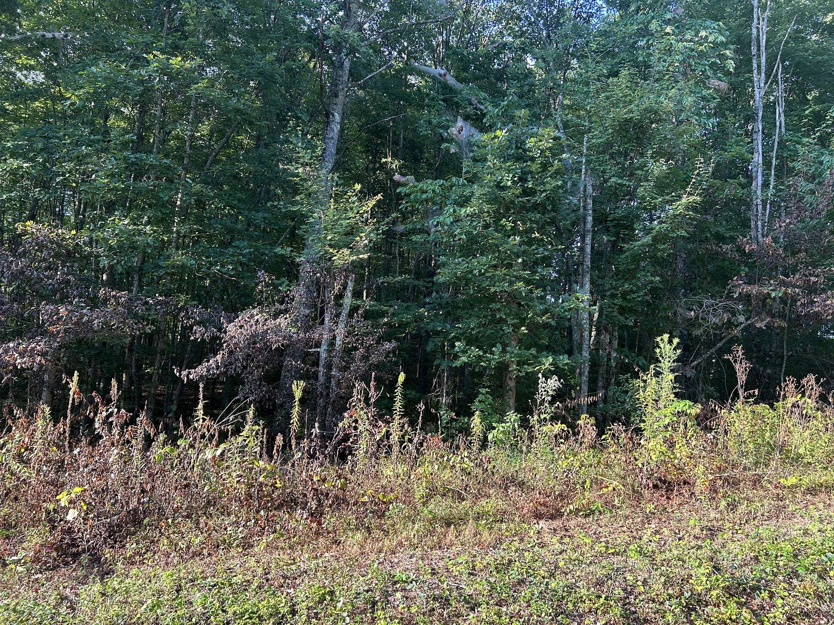 3.57 Acres of Residential Land for Sale in Jamestown, Tennessee