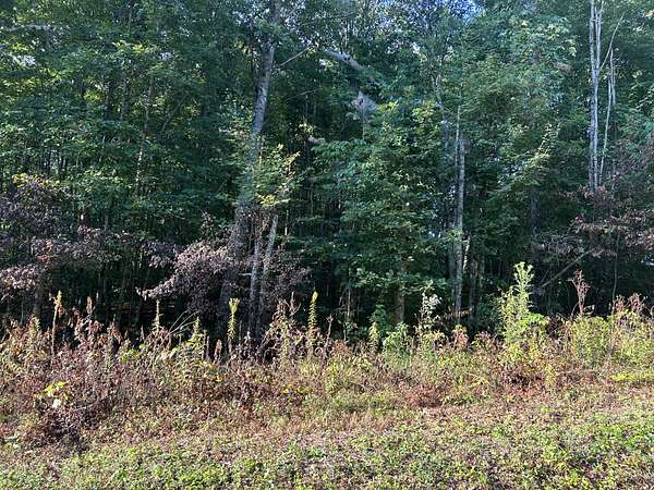 3.57 Acres of Residential Land for Sale in Jamestown, Tennessee