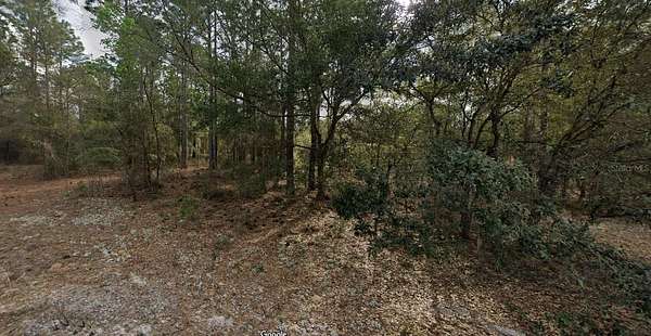 0.2 Acres of Residential Land for Sale in Interlachen, Florida