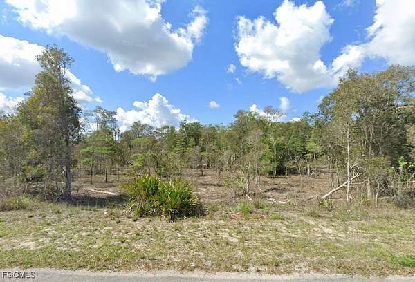 0.31 Acres of Residential Land for Sale in Fort Myers, Florida