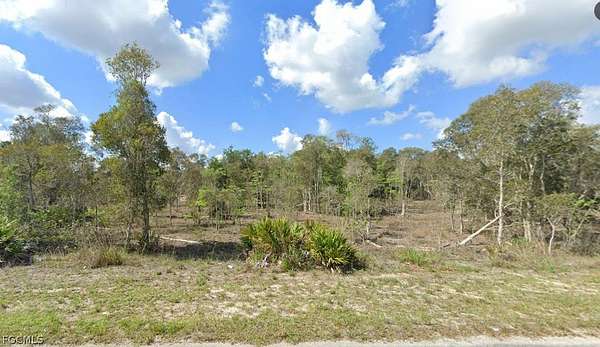 0.31 Acres of Residential Land for Sale in Fort Myers, Florida