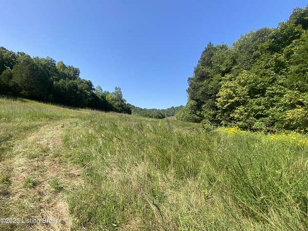 216 Acres of Recreational Land for Sale in Irvington, Kentucky