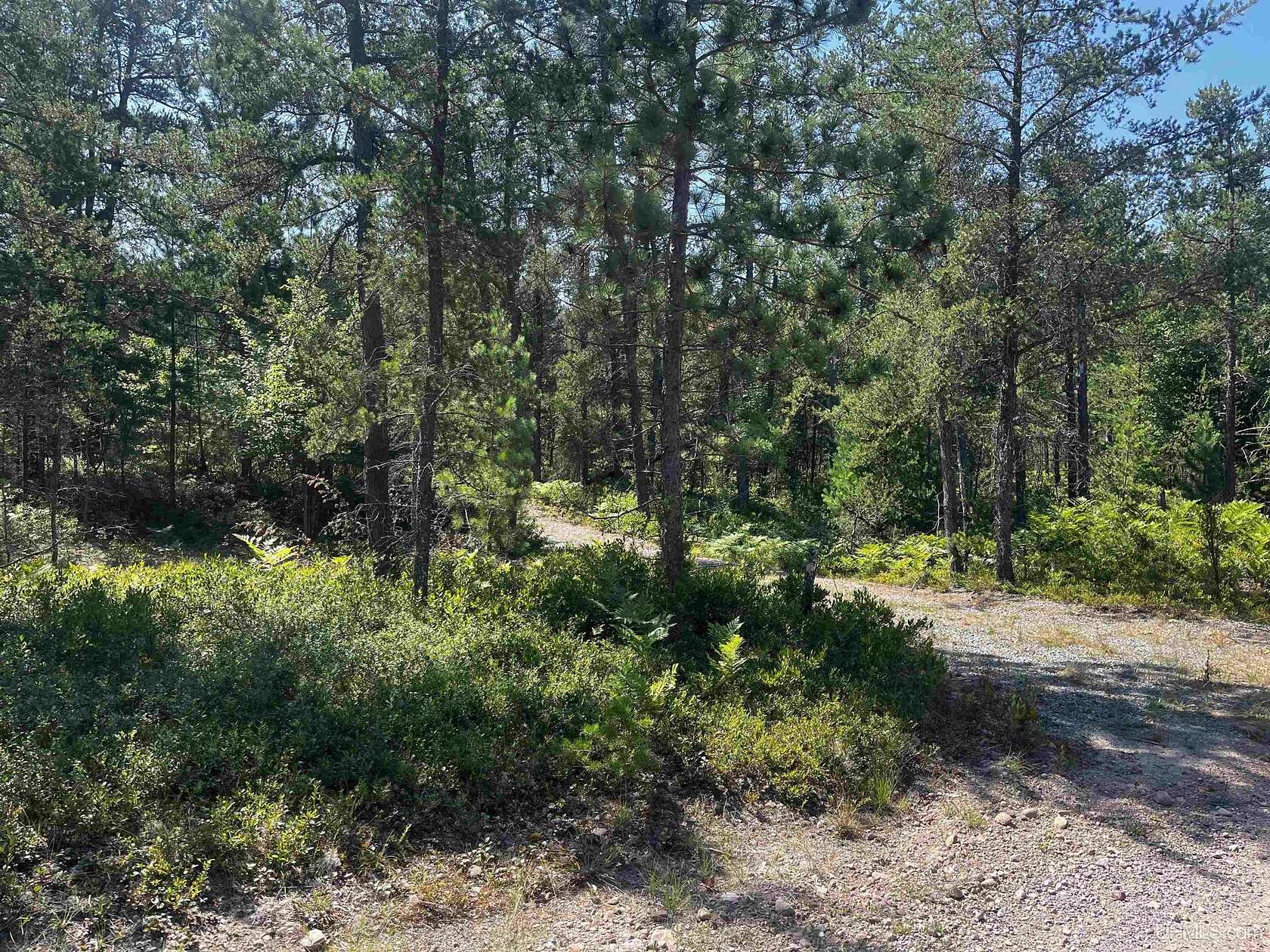 10 Acres of Recreational Land for Sale in Harvey, Michigan