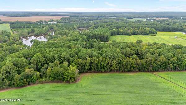 1 Acre of Land for Sale in Oriental, North Carolina