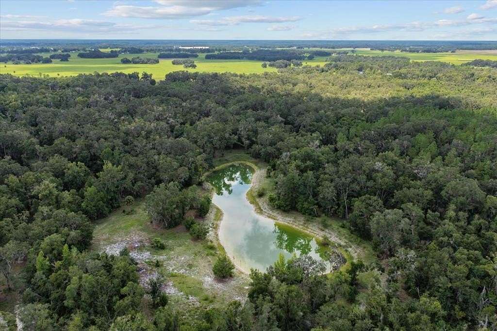 35 Acres of Land for Sale in Old Town, Florida