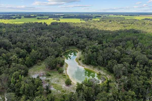 35 Acres of Land for Sale in Old Town, Florida