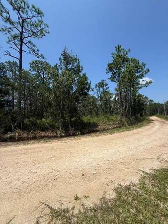 0.5 Acres of Land for Sale in Steinhatchee, Florida