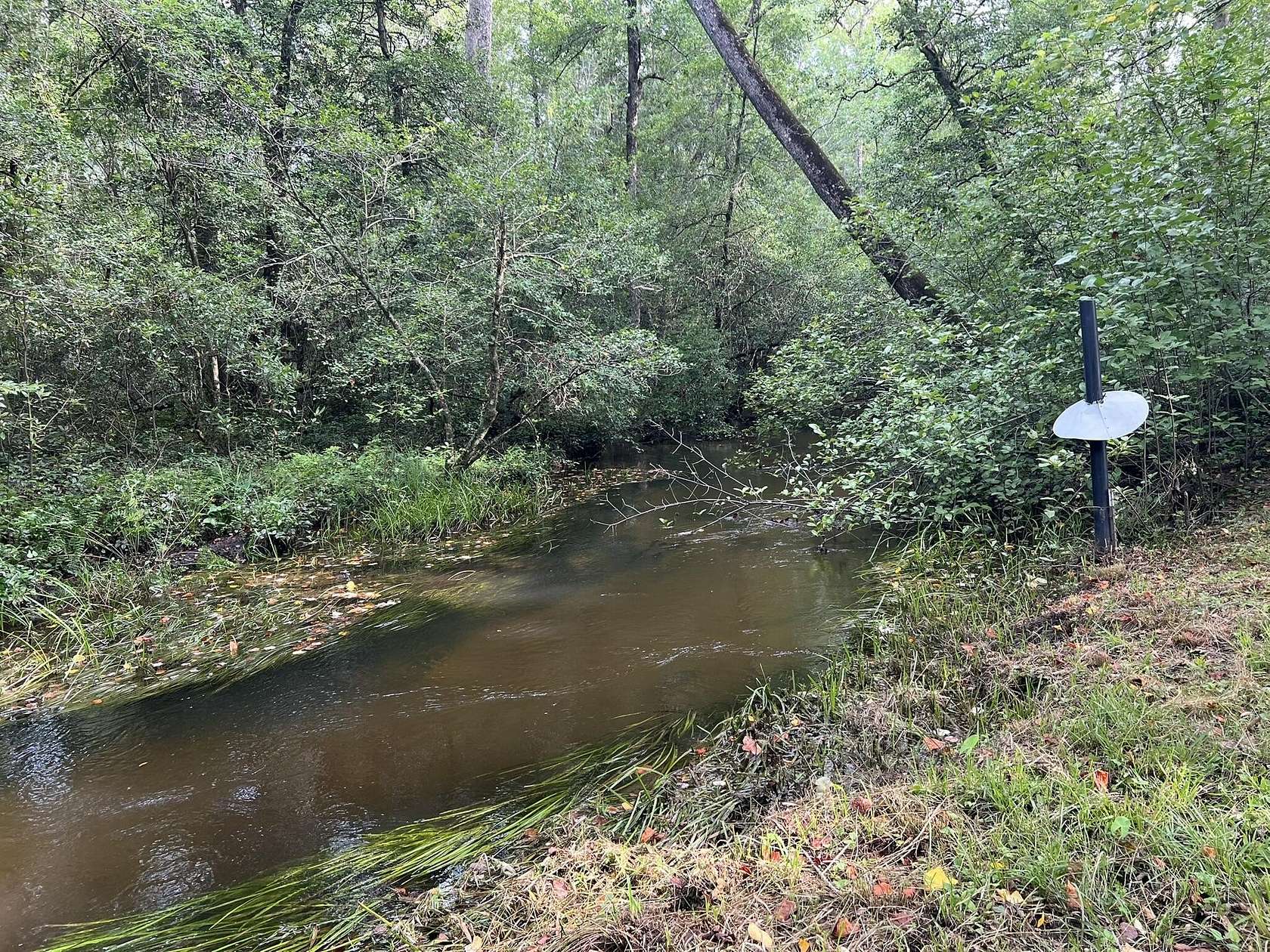 22.8 Acres of Recreational Land for Sale in Windsor, South Carolina