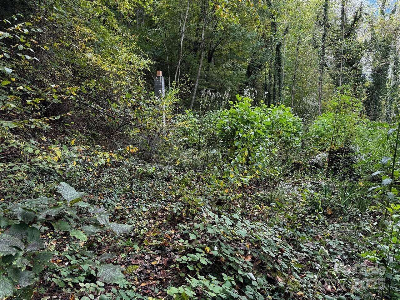 3.76 Acres of Residential Land for Sale in Canton, North Carolina