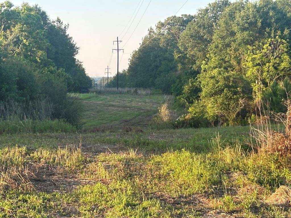 24.5 Acres of Land for Sale in Lumberton, Mississippi