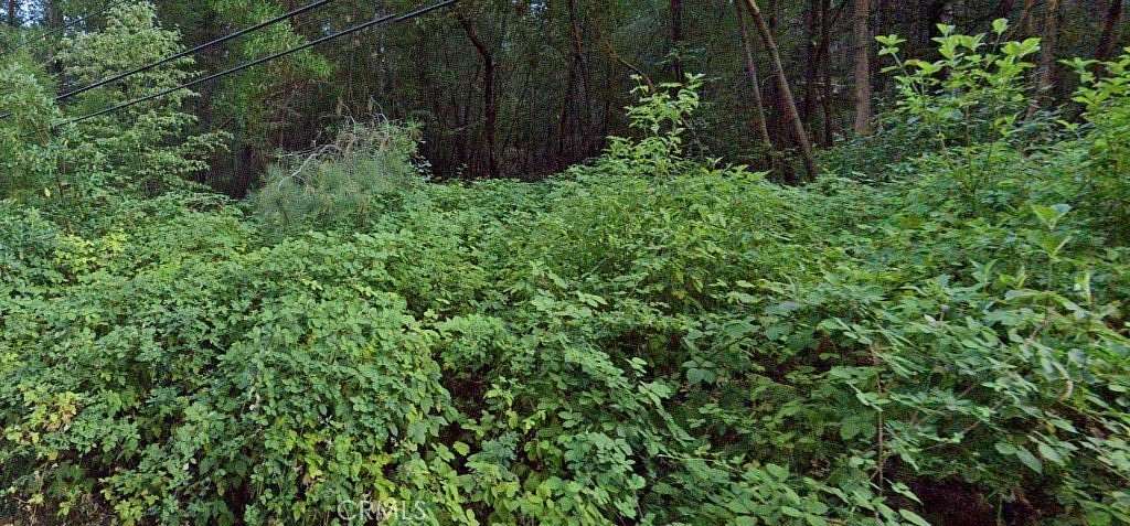 0.18 Acres of Residential Land for Sale in Cobb, California