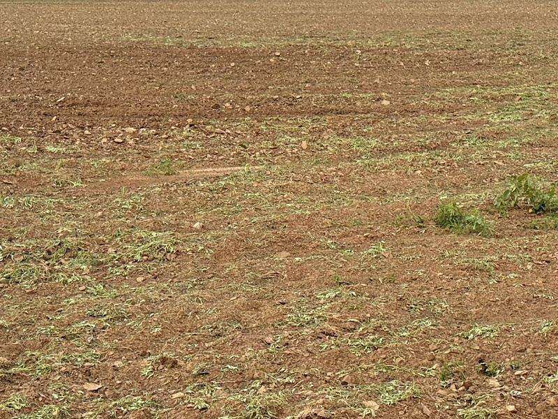 320 Acres of Agricultural Land for Sale in Cheyenne Wells, Colorado