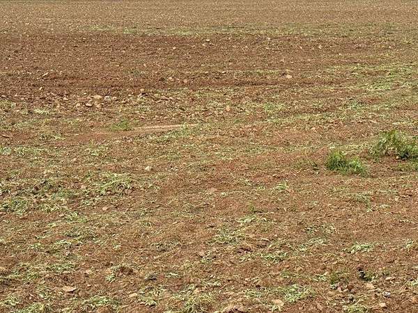 320 Acres of Agricultural Land for Sale in Cheyenne Wells, Colorado