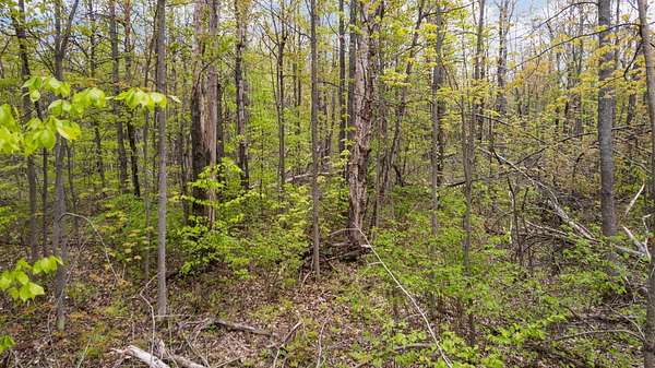 9.9 Acres of Land for Sale in Lewiston, Michigan