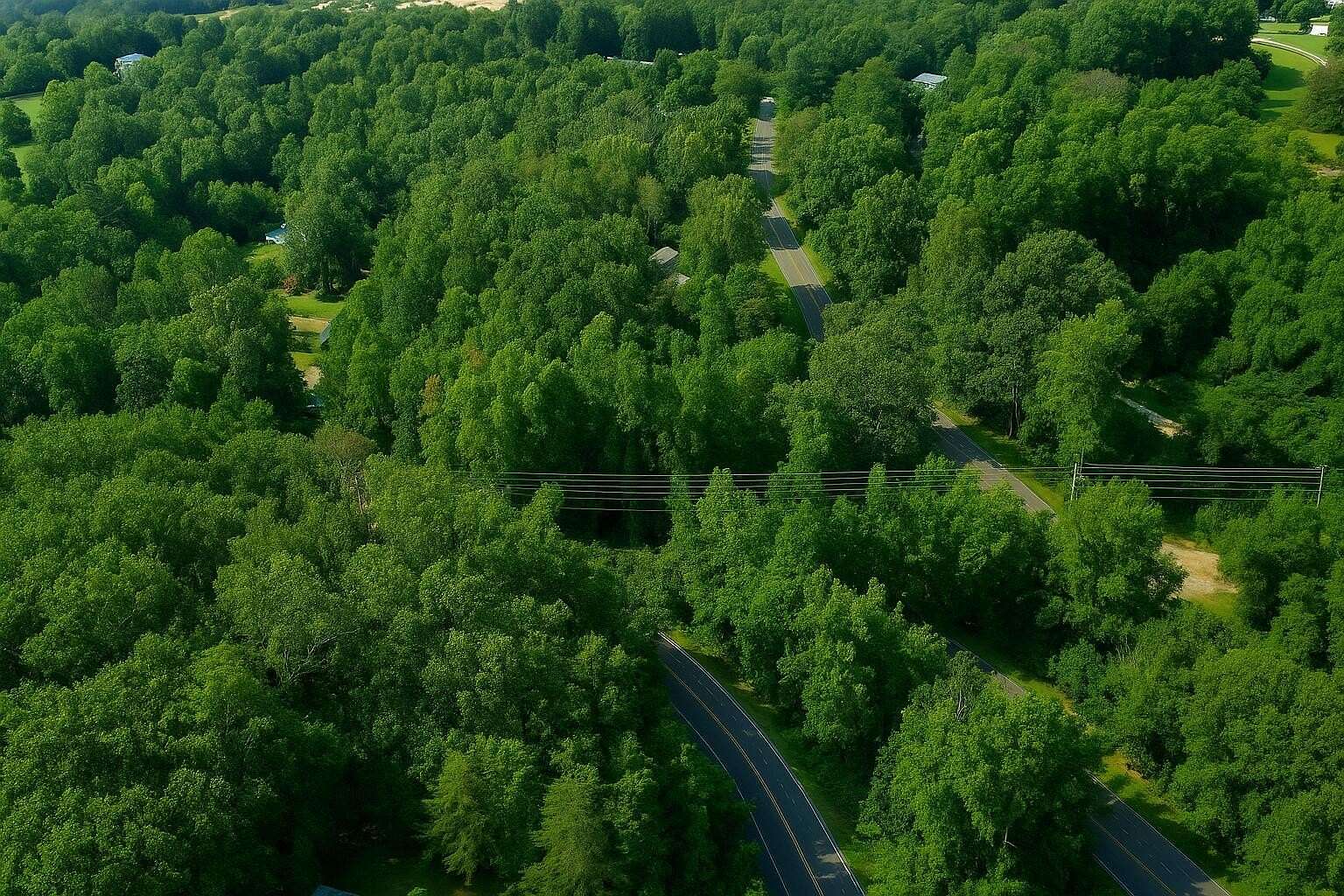 1 Acre of Residential Land for Sale in Ringgold, Georgia
