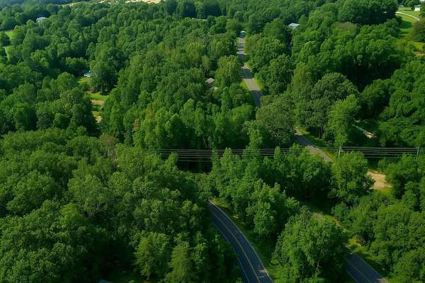 1 Acre of Residential Land for Sale in Ringgold, Georgia