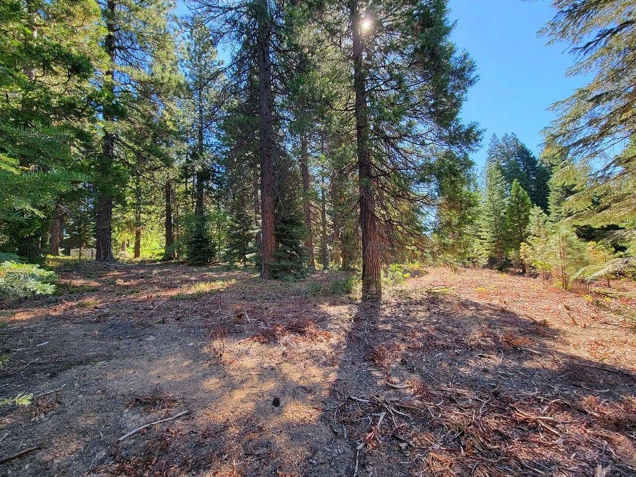 2.7 Acres of Residential Land for Sale in Mount Shasta, California