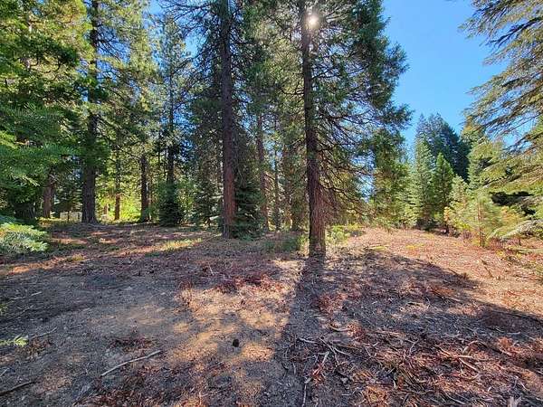 2.7 Acres of Residential Land for Sale in Mount Shasta, California