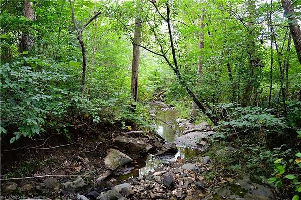 72 Acres of Recreational Land for Sale in Yanceyville, North Carolina