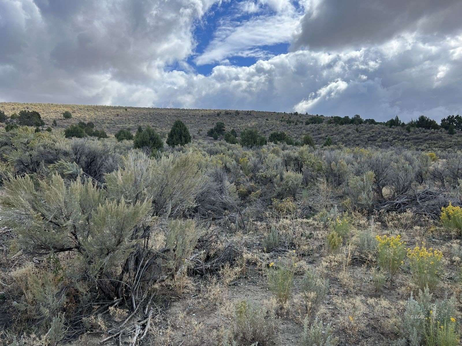 231 Acres of Recreational Land for Sale in Elko, Nevada