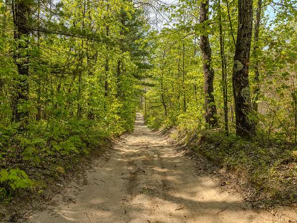 10 Acres of Recreational Land for Sale in Free Soil, Michigan