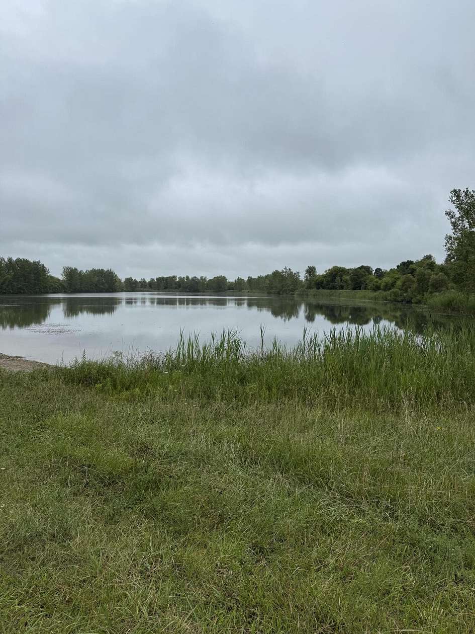 39 Acres of Land for Sale in Potterville, Michigan