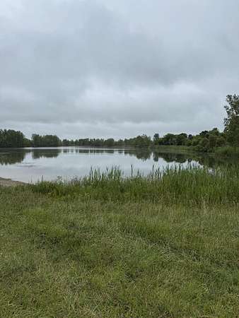 39 Acres of Land for Sale in Potterville, Michigan