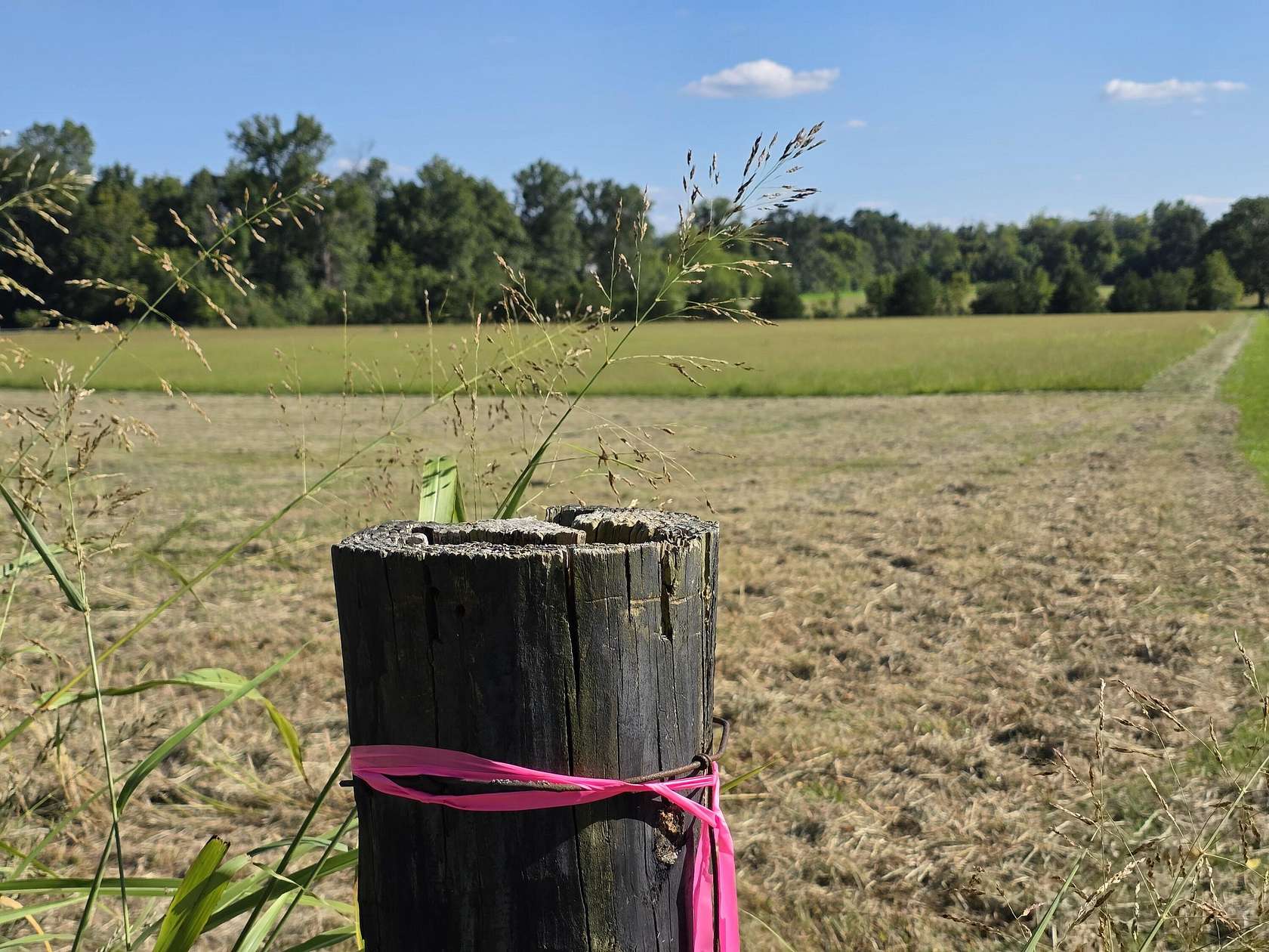 17.2 Acres of Land for Sale in Berea, Kentucky