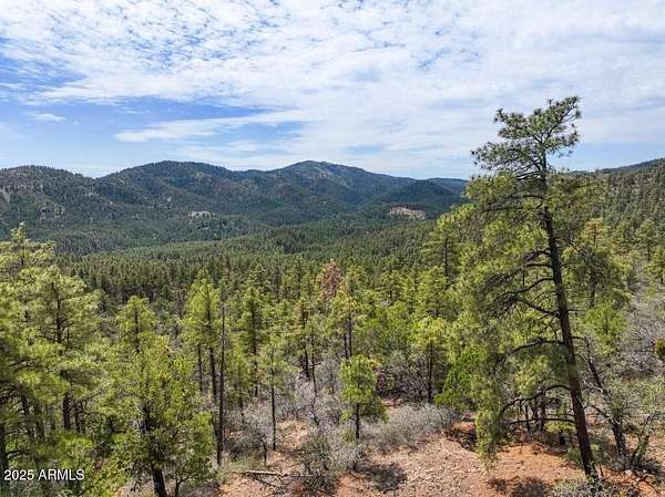 11.5 Acres of Recreational Land for Sale in Prescott, Arizona