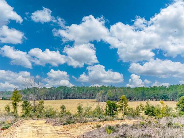 97.5 Acres of Recreational Land for Sale in Caryville, Florida