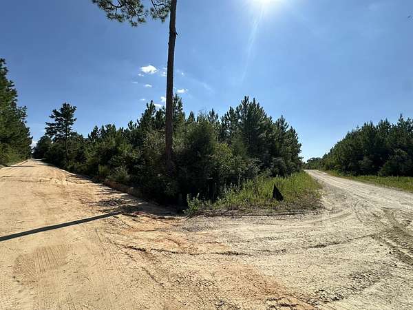 9.83 Acres of Land for Sale in Caryville, Florida