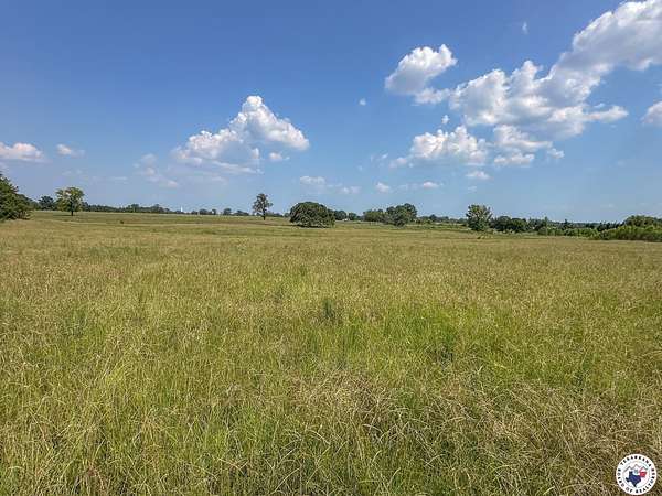 10 Acres of Residential Land for Sale in De Kalb, Texas