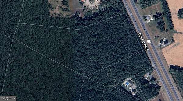 18.3 Acres of Agricultural Land for Sale in Georgetown, Delaware