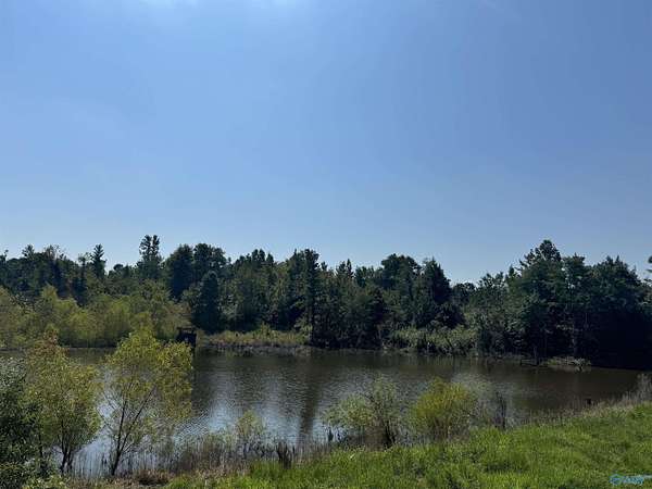 97 Acres of Recreational Land for Sale in Centre, Alabama
