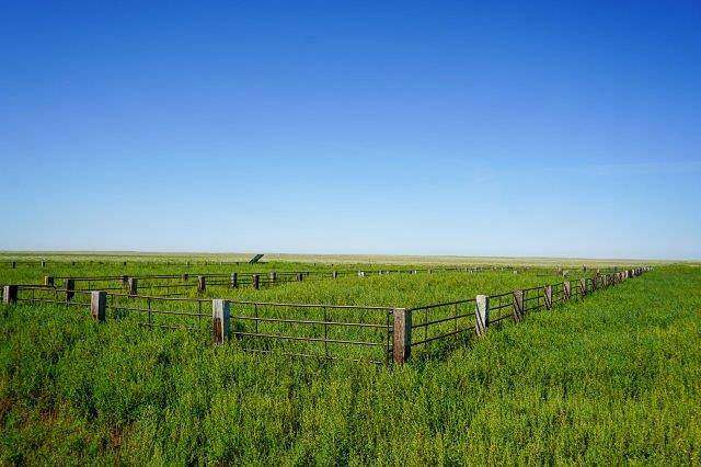 1,950 Acres of Agricultural Land for Sale in Brandon, Colorado
