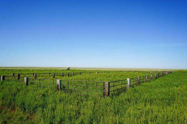 1,950 Acres of Agricultural Land for Sale in Brandon, Colorado