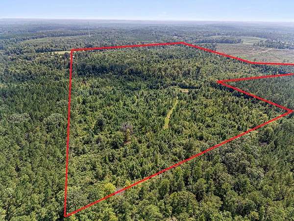 97.6 Acres of Recreational Land for Sale in Bradley, South Carolina